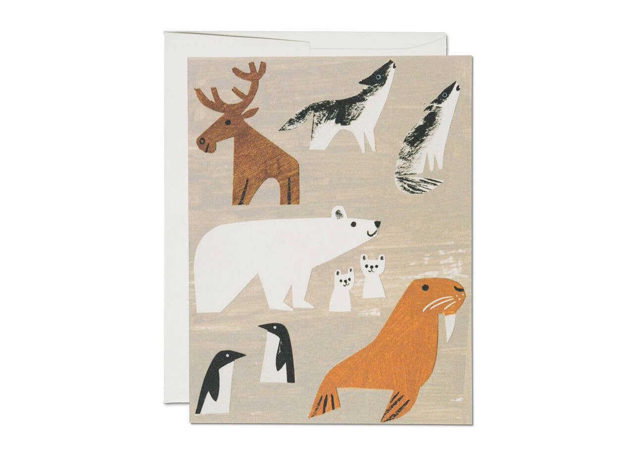 Red Cap Cards - Winter Animals